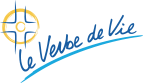 vdv-logo-blue